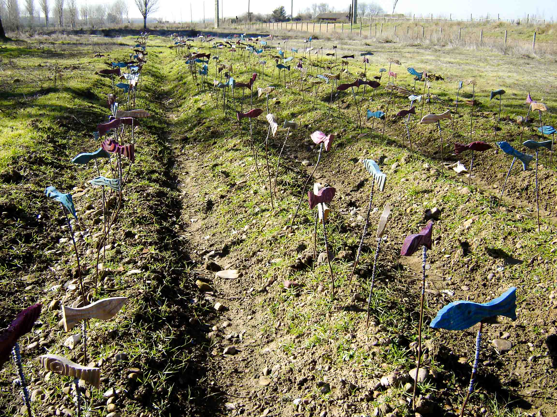 Terreno con surcos en el cual se encuentran estacas clavadas con peces de diferentes colores