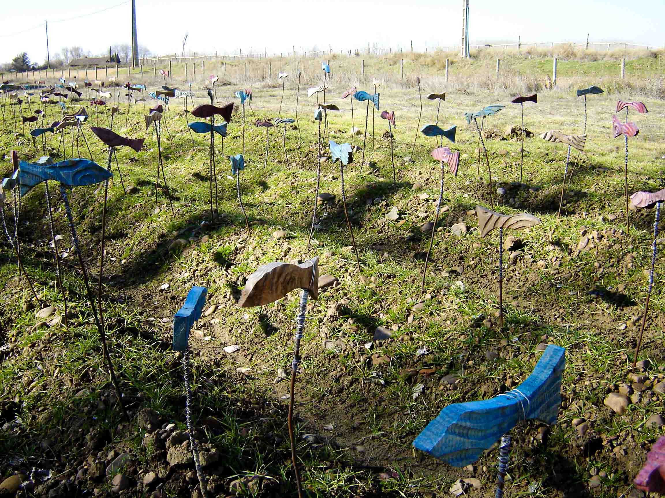 Terreno con surcos en el cual se encuentran estacas clavadas con peces de diferentes colores